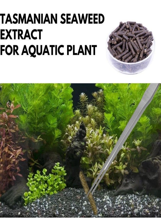 VAYINATO Aquatic Remedies R2O Eco Root Sticks, 50G Tasmanian Seaweed Extract for Aquarium Plants - Image 3